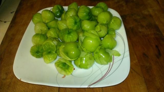  photo tomatillo.jpg